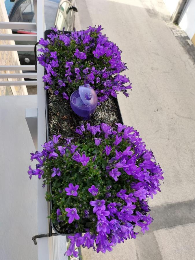 Villa The Violet House Costa Nova Esterno foto